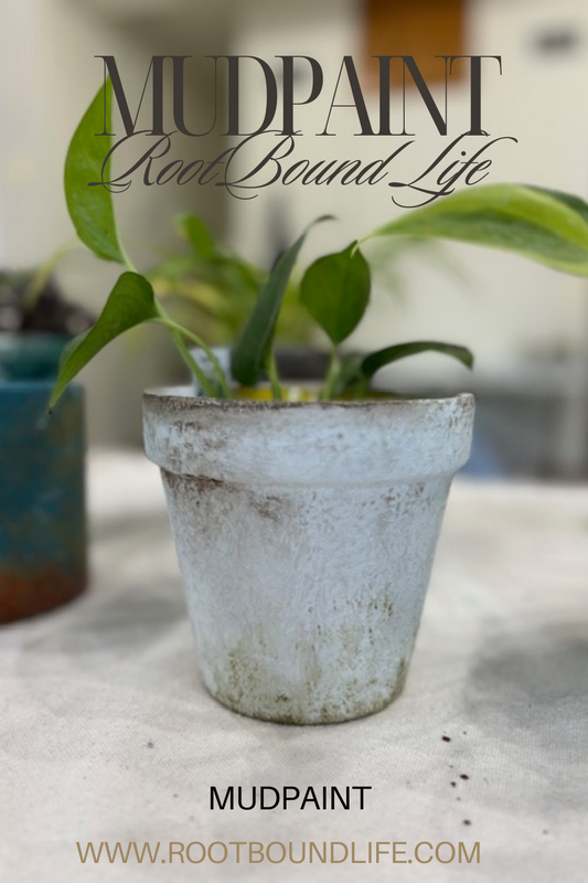 Top 10 DIY Home Decor Projects Using MudPaint - It's Not Just For Furniture