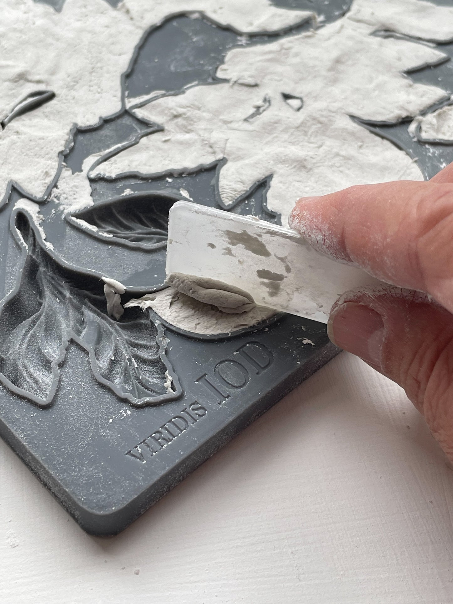 Viridis 6x10" Decor Mould by Iron Orchid Designs (IOD)