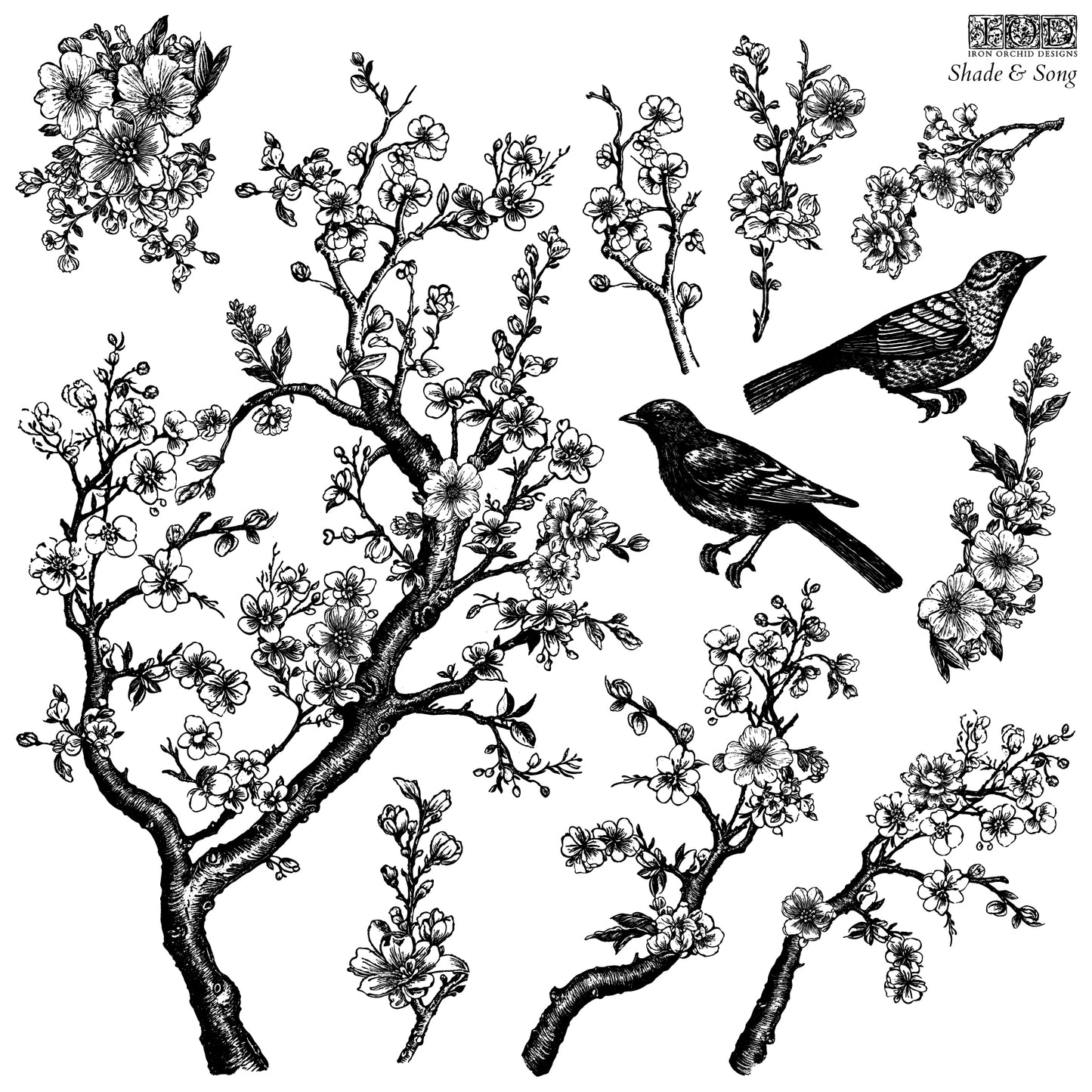 Shade & Song 12x12" Decor Stamp by Iron Orchid Designs (IOD)