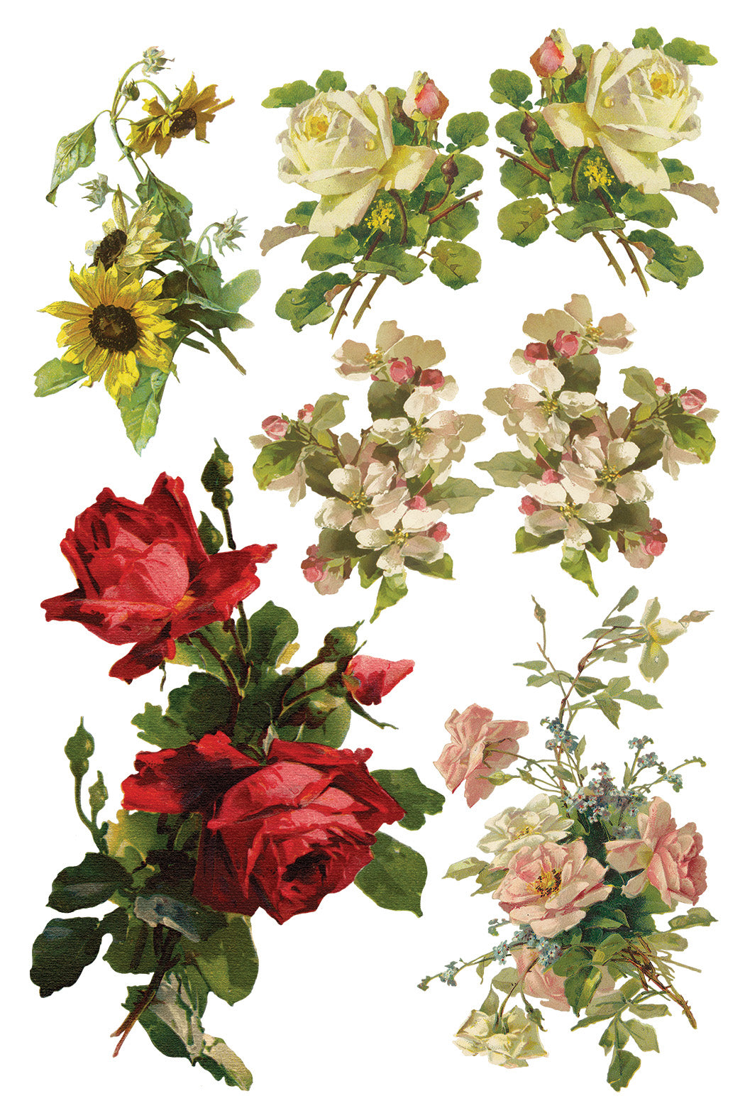 Catharina 8x12" Transfer Pad - EIGHT Sheet Set by Iron Orchid Designs (IOD) SPRING 2025 RELEASE