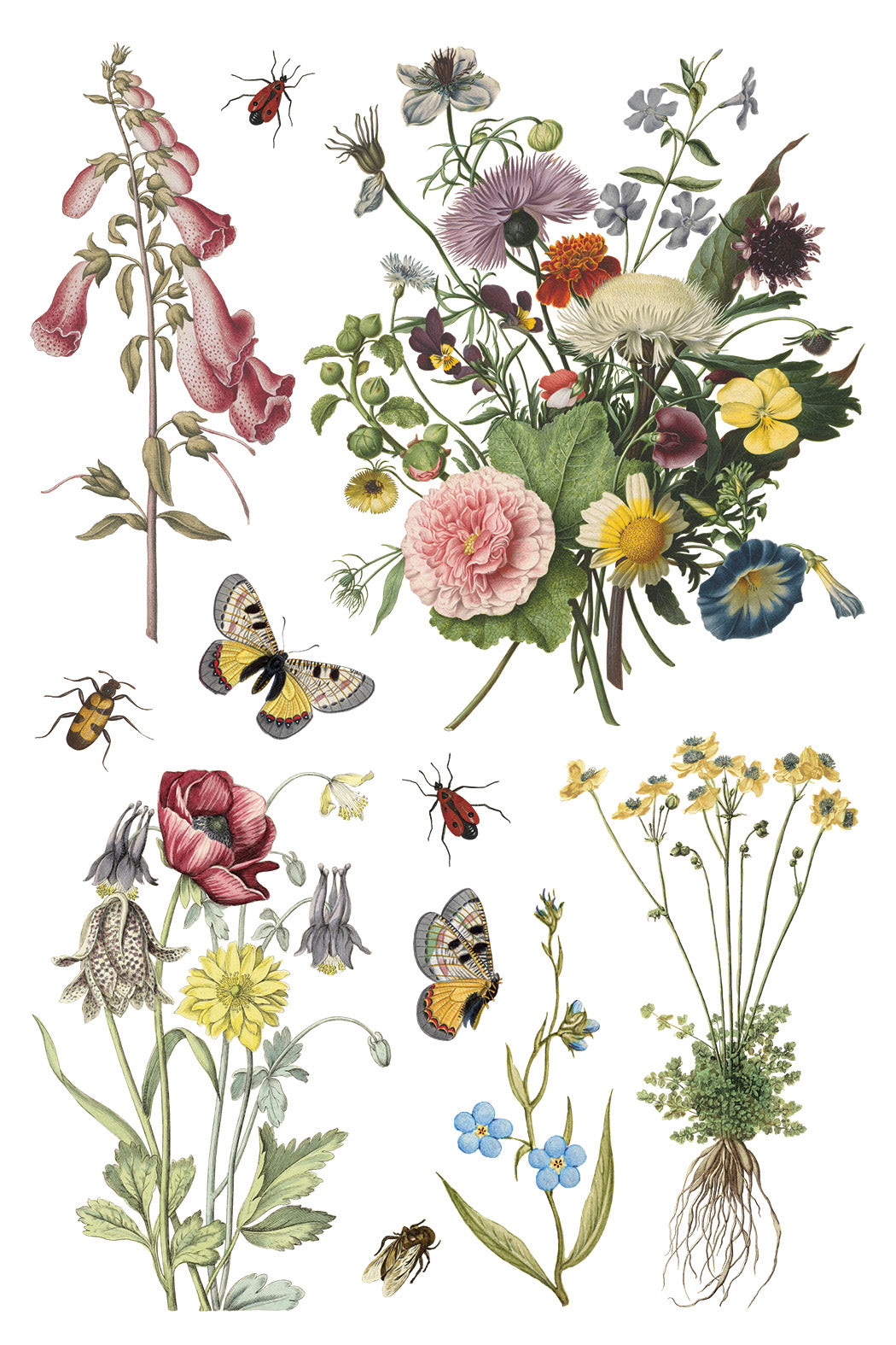 Wilde Bloemen 8x12" Transfer Pad - EIGHT Sheet Set by Iron Orchid Designs (IOD) SPRING 2025 RELEASE
