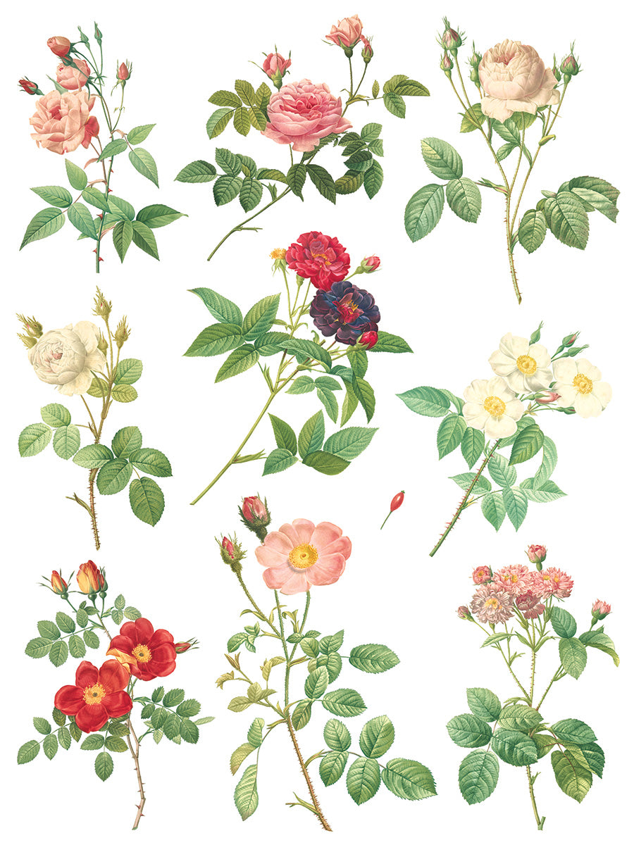 Rose Botanical Decor Transfer Pad 12x16" EIGHT Sheet Set by Iron Orchid Designs (IOD)