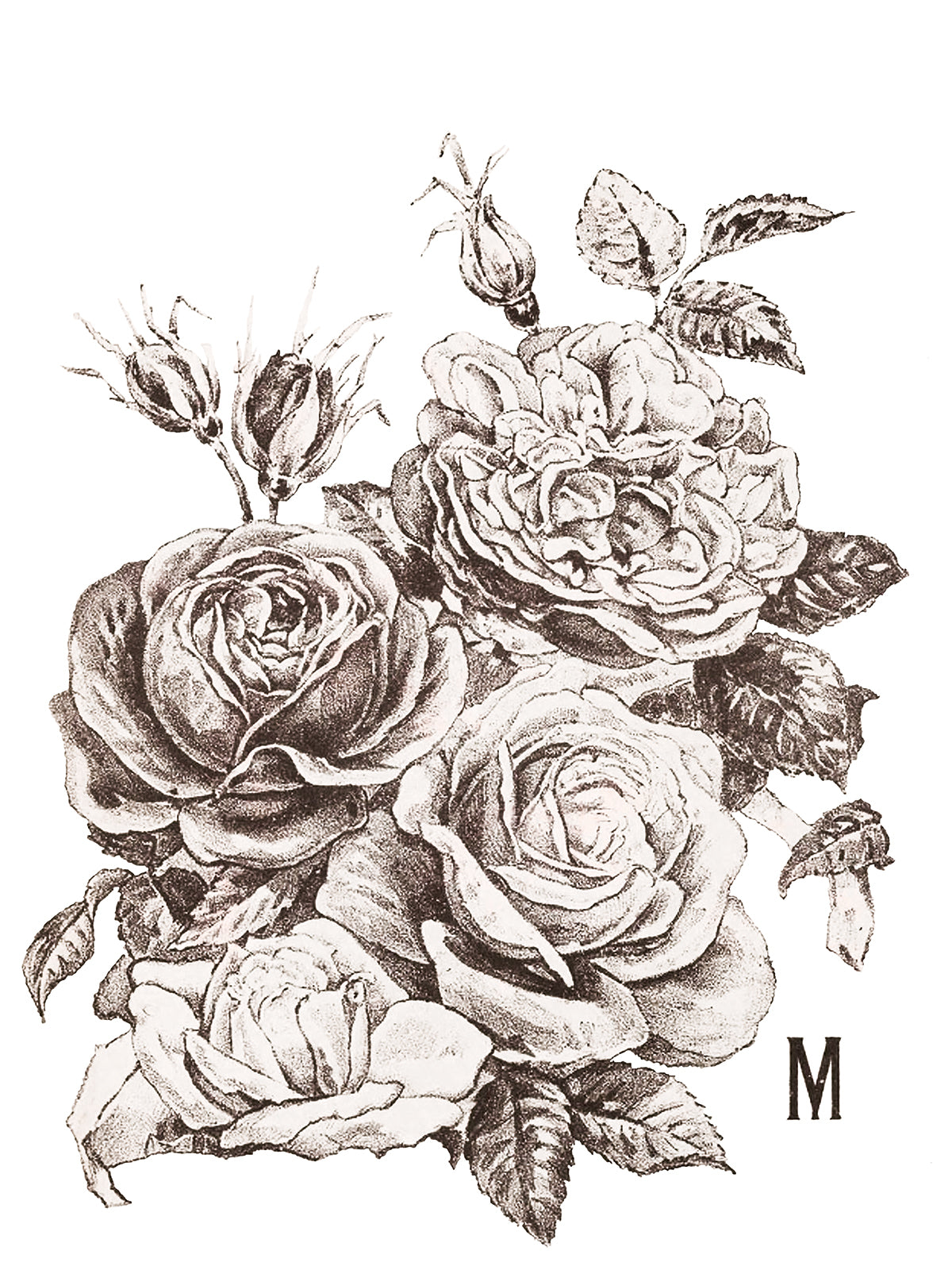 May's Roses 12x16" Transfer Pad FOUR Sheet Set by Iron Orchid Designs (IOD)