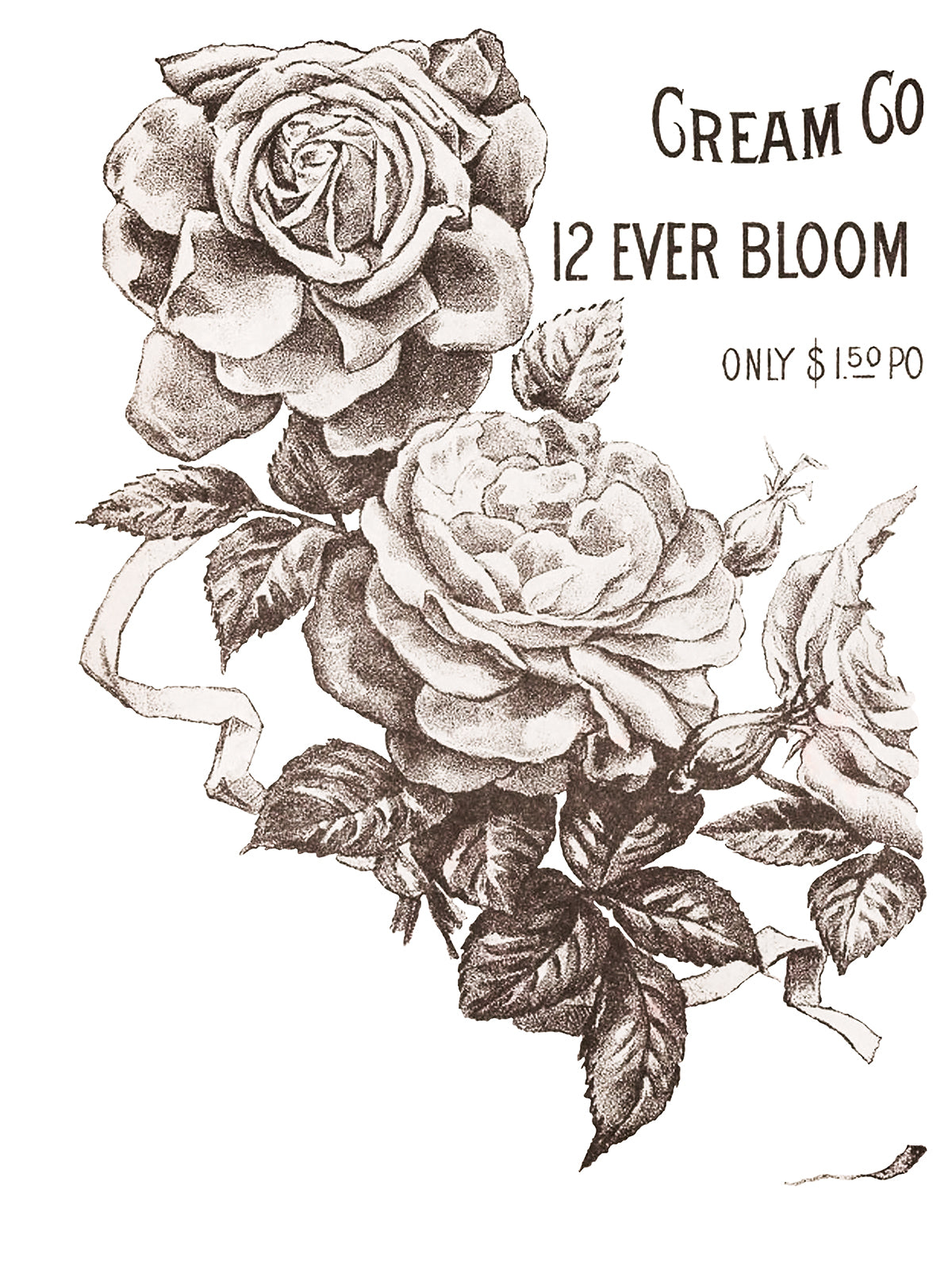 May's Roses 12x16" Transfer Pad FOUR Sheet Set by Iron Orchid Designs (IOD)