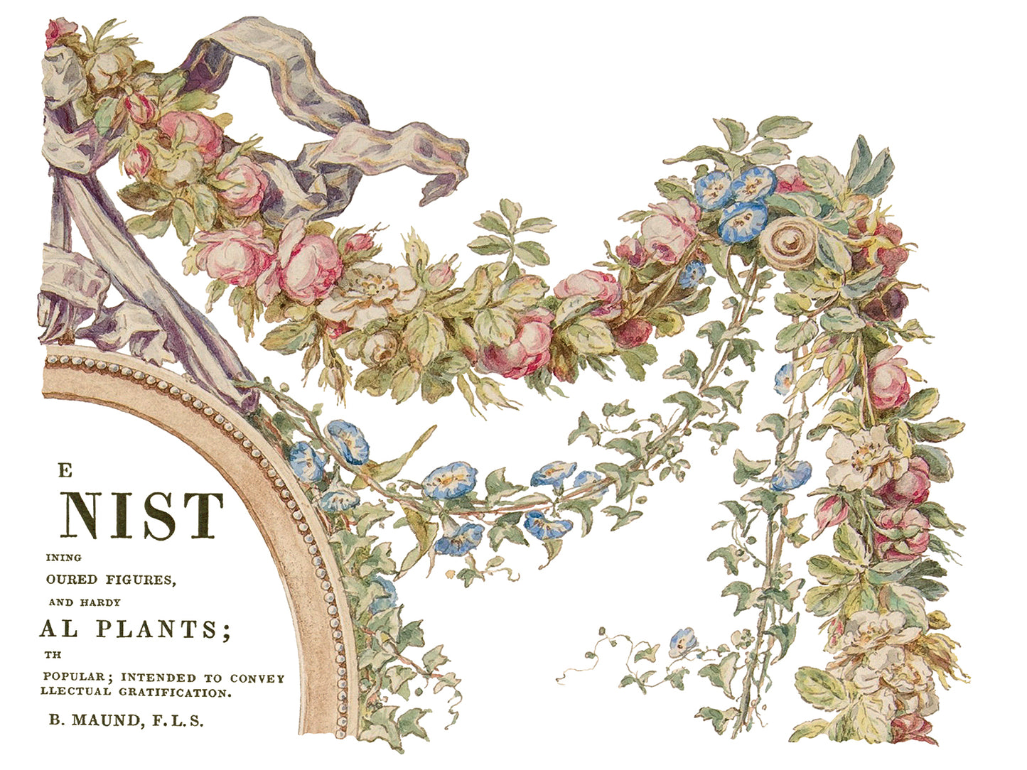 The Botanist 12x16" Decor Transfer FOUR Sheet Set by Iron Orchid Designs (IOD)