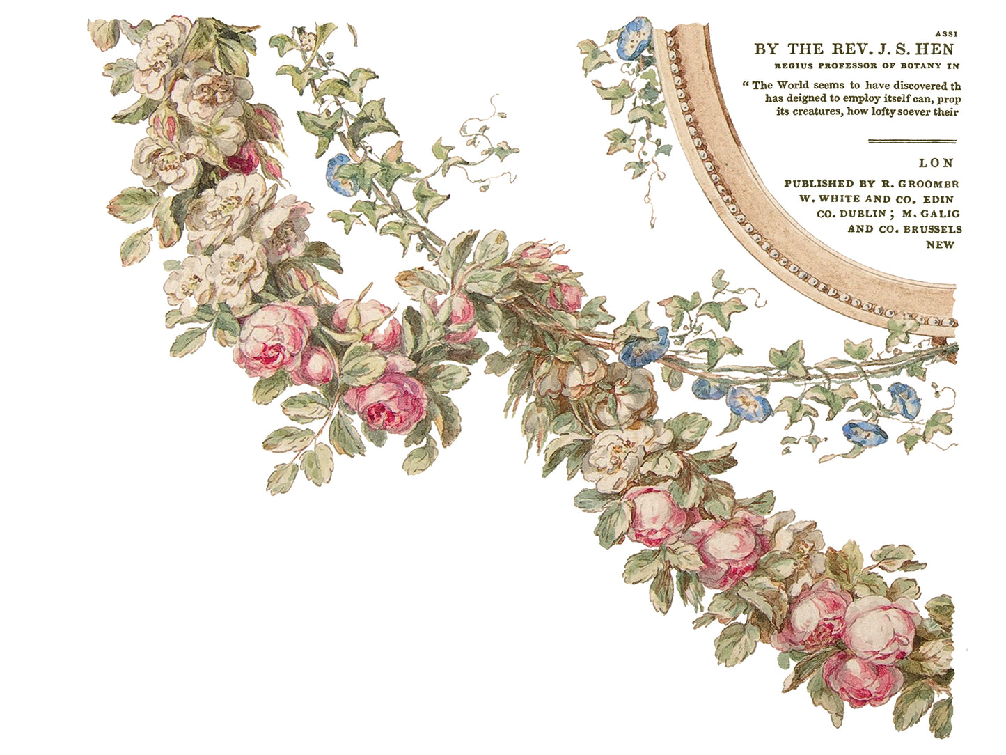 The Botanist 12x16" Decor Transfer FOUR Sheet Set by Iron Orchid Designs (IOD)