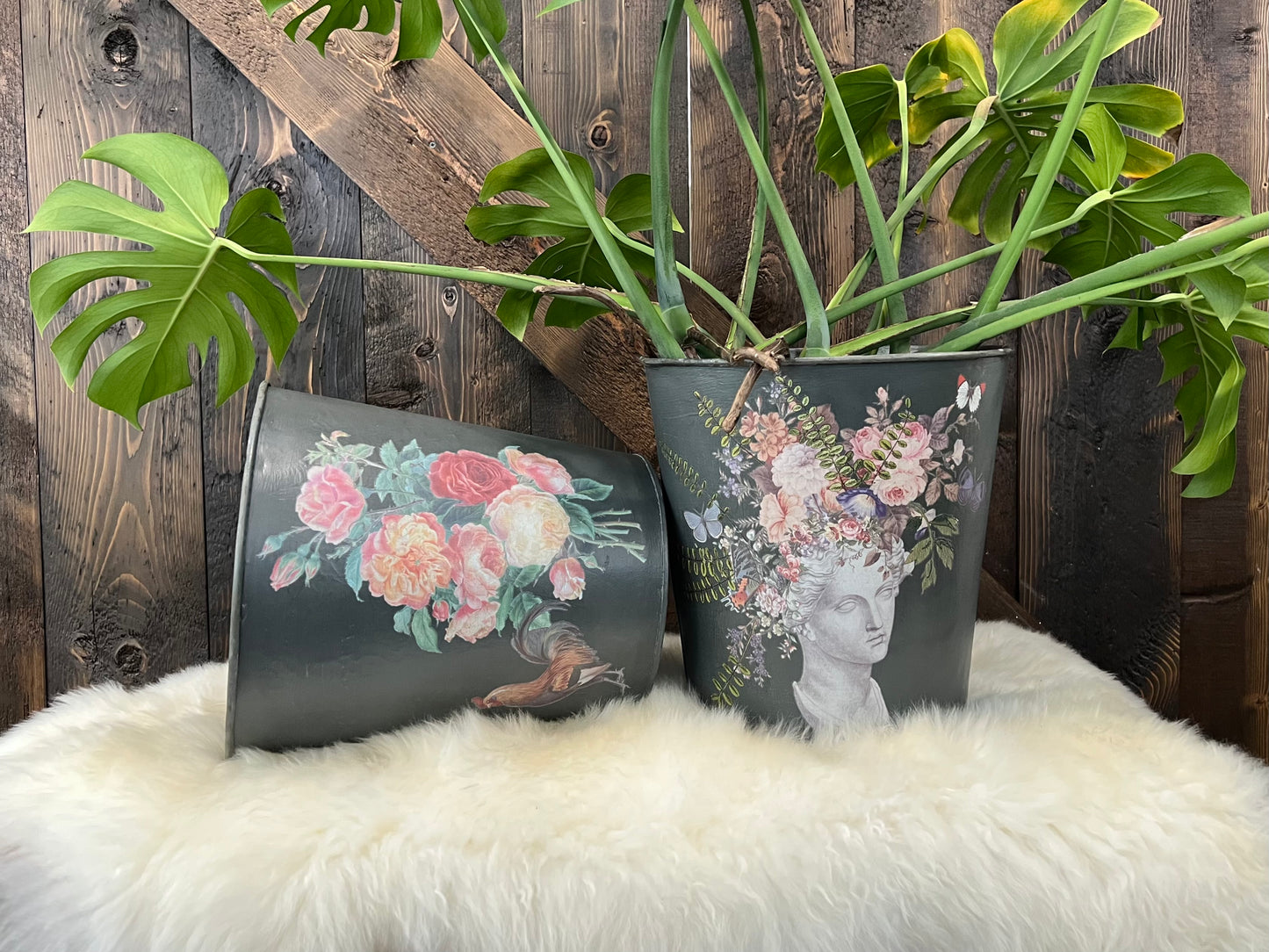 Saint Ouen 8x12” Transfer EIGHT Sheet Set by Iron Orchid Designs (IOD)