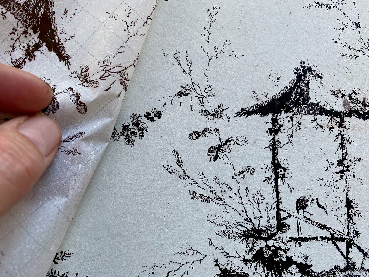 Petits Parasols Soft Black 12x16" Paint Inlay EIGHT Sheet Set by Iron Orchid Designs (IOD)