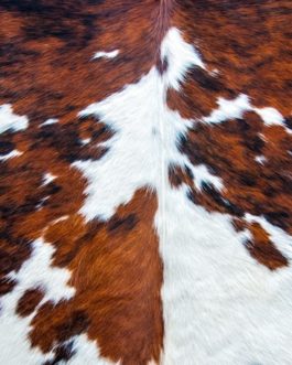 Cowhide 21x29" Decoupage Paper by Roycycled Treasures