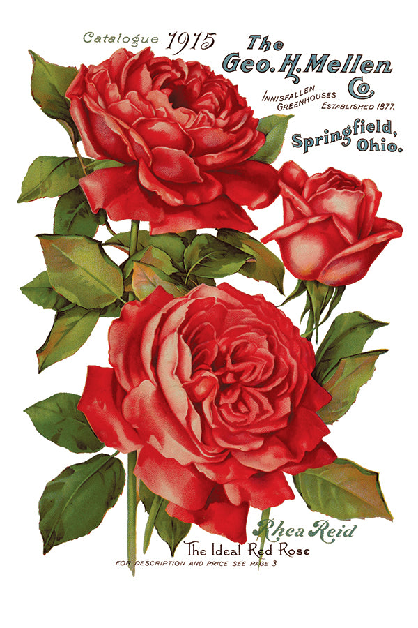 Ephemeral Mélange 8x12" Transfer Pad - EIGHT Sheet Set by Iron Orchid Designs (IOD)