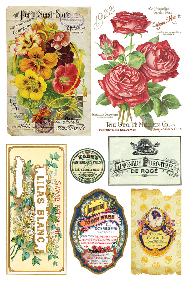 Ephemeral Mélange 8x12" Transfer Pad - EIGHT Sheet Set by Iron Orchid Designs (IOD)