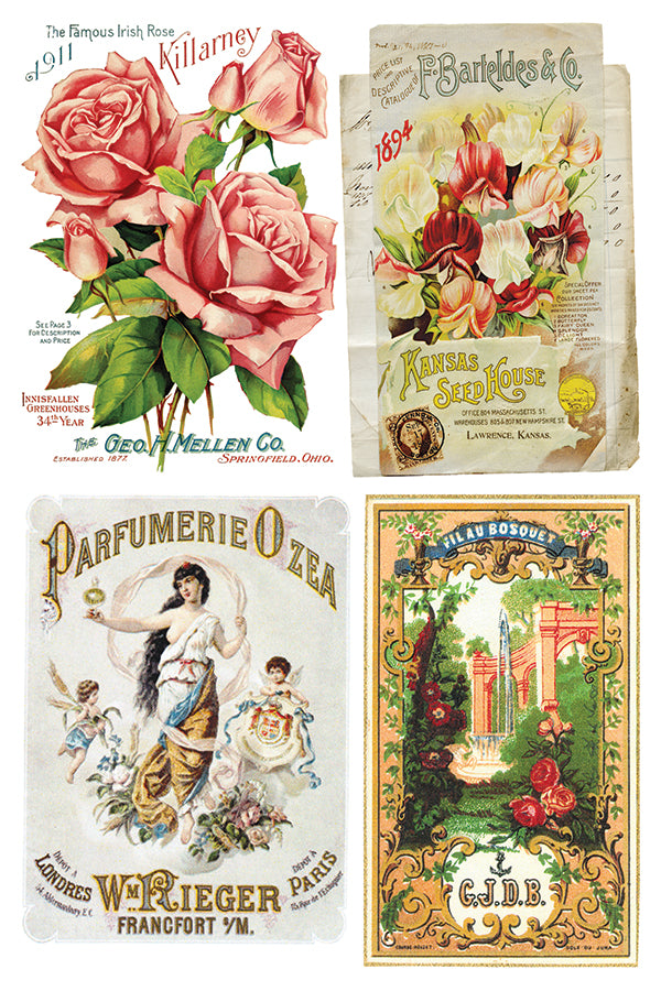 Ephemeral Mélange 8x12" Transfer Pad - EIGHT Sheet Set by Iron Orchid Designs (IOD)