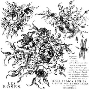 Rose Toile 12x12" Decor Stamp by Iron Orchid Designs (IOD)