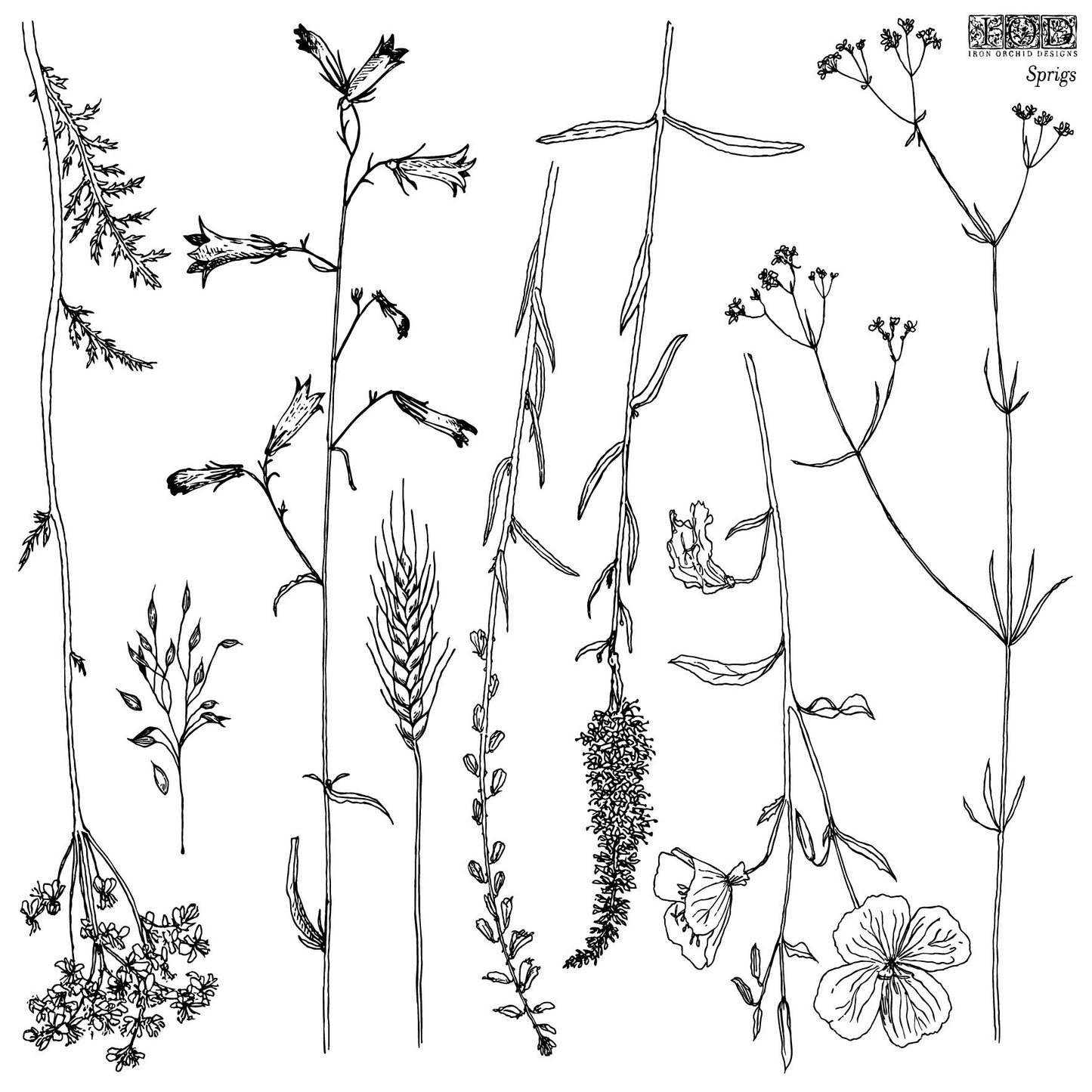 Sprigs 12x12" Decor Stamp by Iron Orchid Designs (IOD)