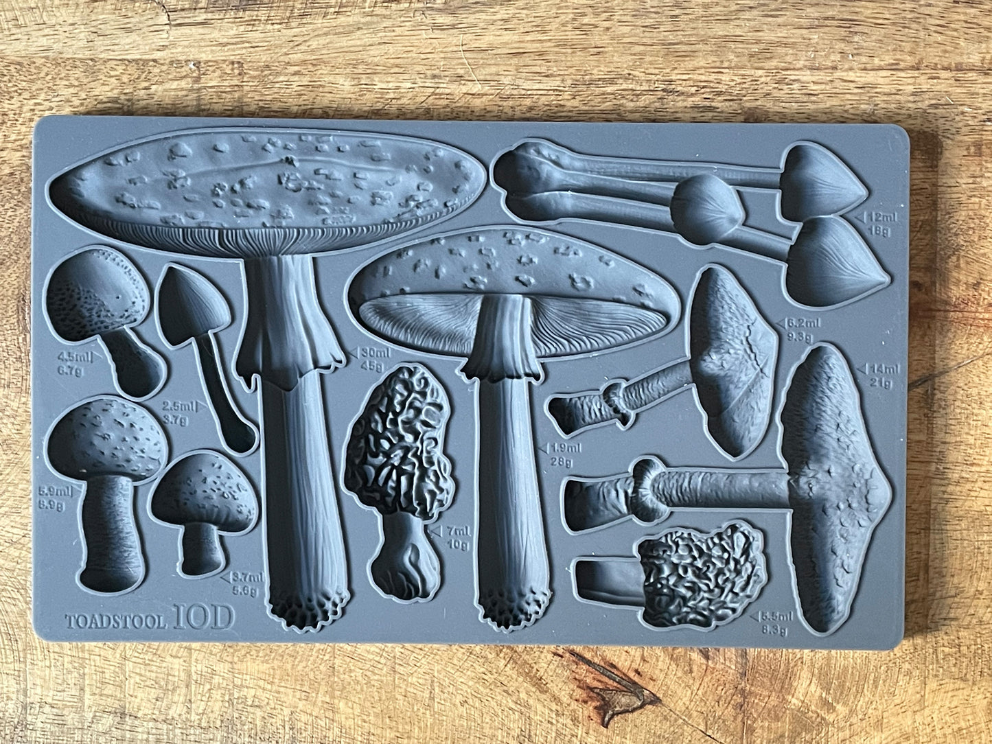Toadstool 6x10 Decor Mould *2023 New Release*