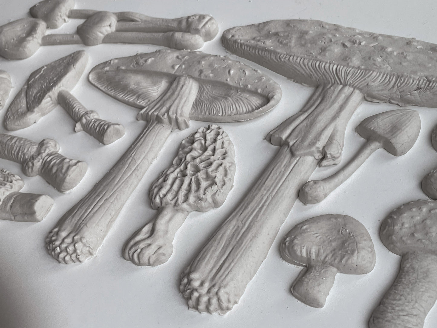 Toadstool 6x10" Decor Mould by Iron Orchid Designs (IOD)
