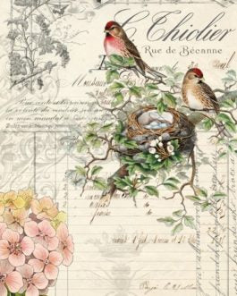 Bird Ephemera 21x29" Decoupage Paper by Roycycled Treasures