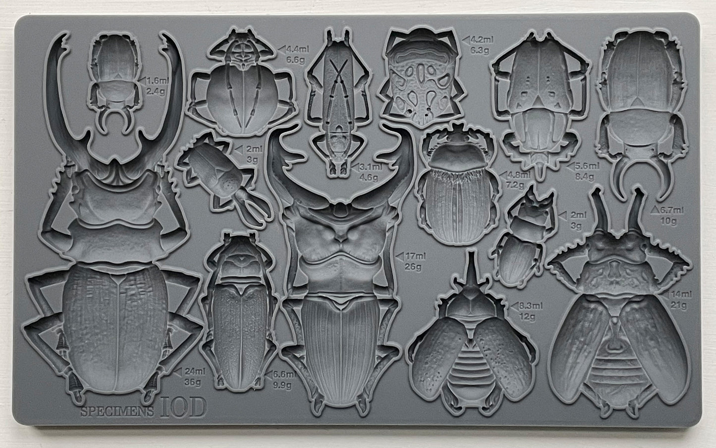 Specimens 6x10" Decor Mould by Iron Orchid Designs (IOD)