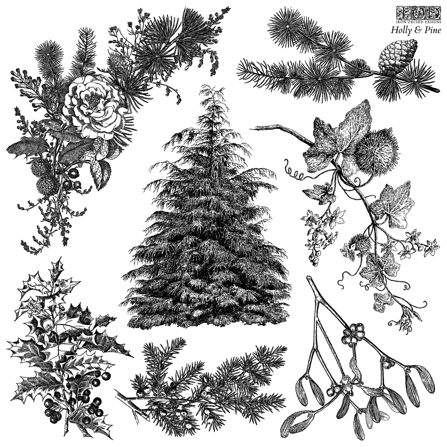 Holly & Pine 12x12" Decor Stamp by Iron Orchid Designs (IOD) Limited Edition