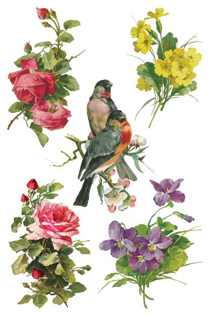 Catharina 8x12" Transfer Pad - EIGHT Sheet Set by Iron Orchid Designs (IOD) SPRING 2025 RELEASE
