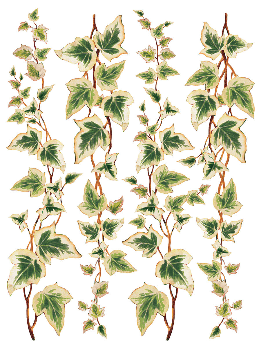 Collage De Fleur Decor Transfer Pad 12x16" EIGHT Sheet Set by Iron Orchid Designs (IOD)