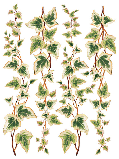 Collage De Fleur Decor Transfer Pad 12x16" EIGHT Sheet Set by Iron Orchid Designs (IOD)