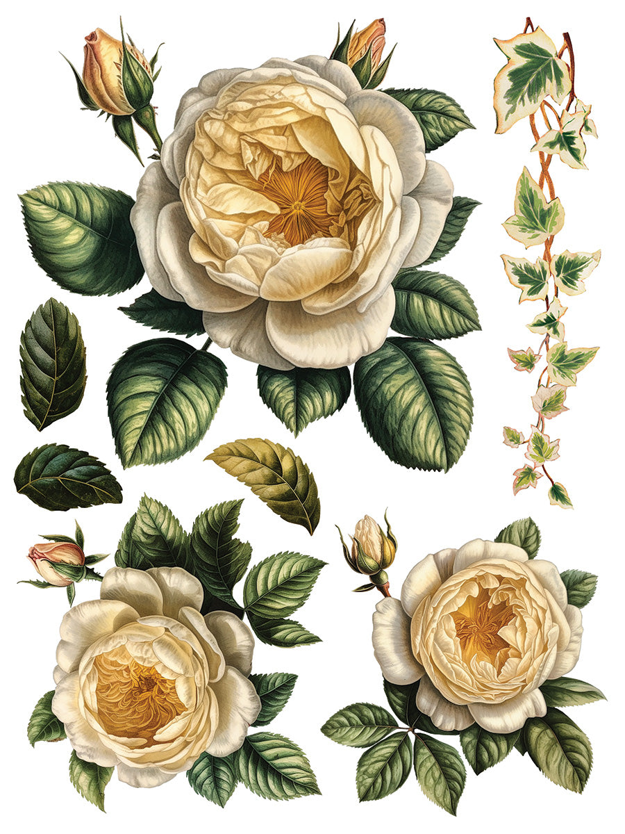 Collage De Fleur Decor Transfer Pad 12x16" EIGHT Sheet Set by Iron Orchid Designs (IOD)
