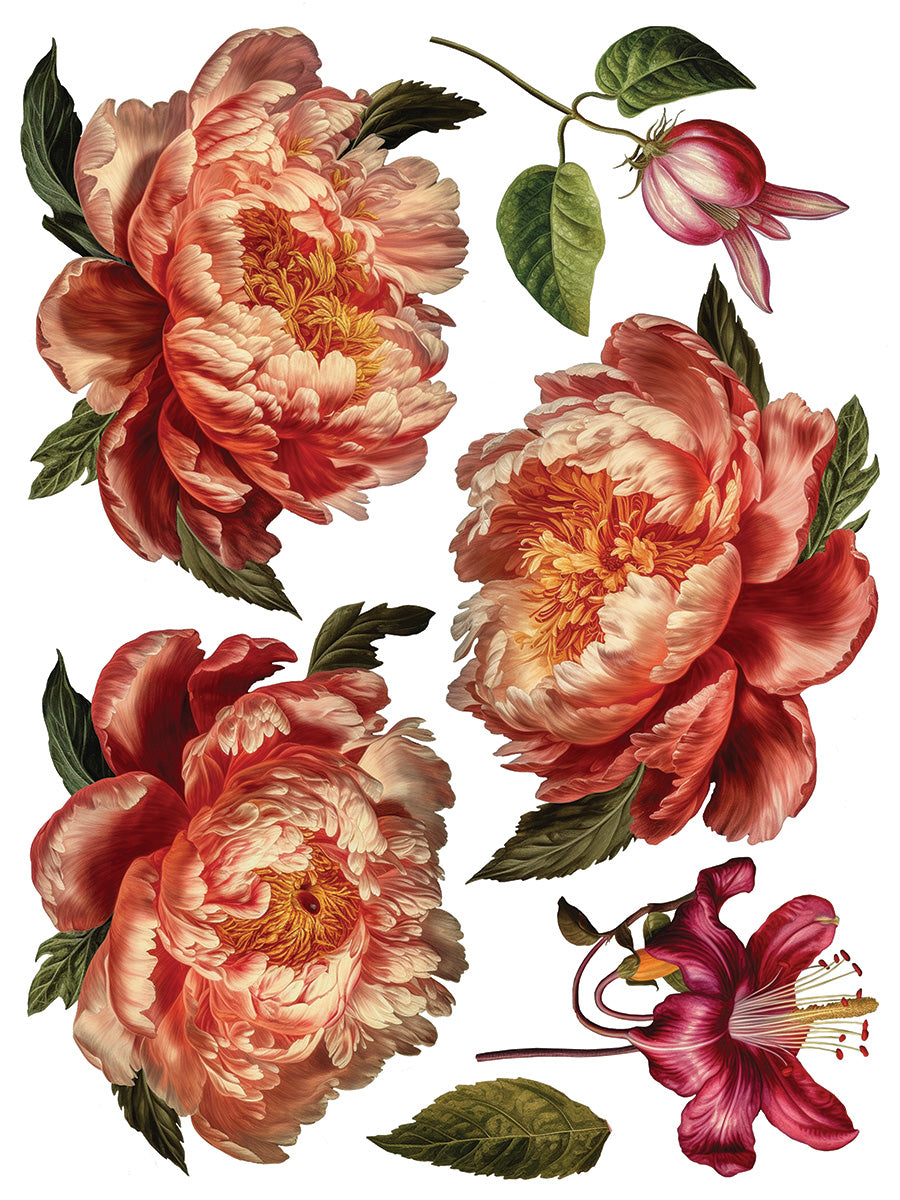 Collage De Fleur Decor Transfer Pad 12x16" EIGHT Sheet Set by Iron Orchid Designs (IOD)