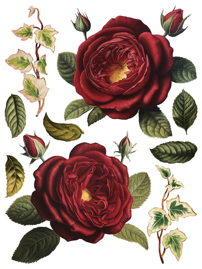 Collage De Fleur Decor Transfer Pad 12x16" EIGHT Sheet Set by Iron Orchid Designs (IOD)