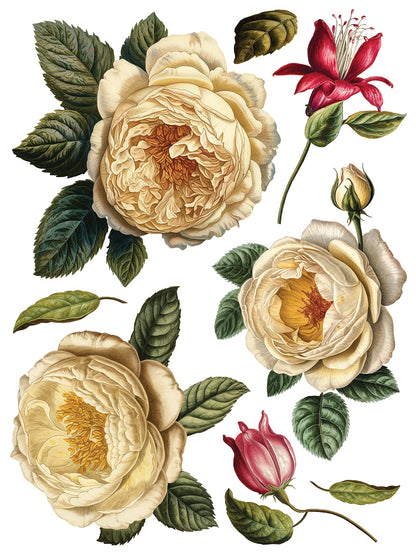 Collage De Fleur Decor Transfer Pad 12x16" EIGHT Sheet Set by Iron Orchid Designs (IOD)