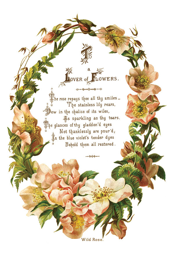 Lover of Flowers 8x12" Transfer Pad EIGHT Sheet Set by Iron Orchid Designs (IOD)