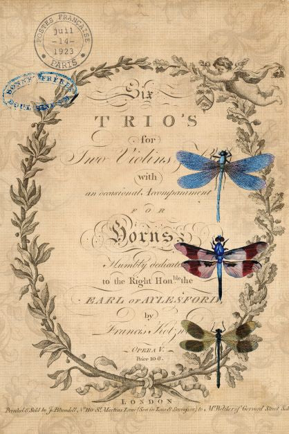 Dragonflies 21x29" Decoupage Paper by Roycycled Treasures