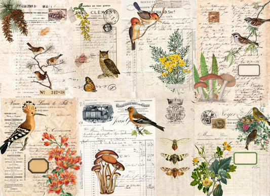 Fall Botanical Project Blocks 21x29" Decoupage Paper by Roycycled Treasures