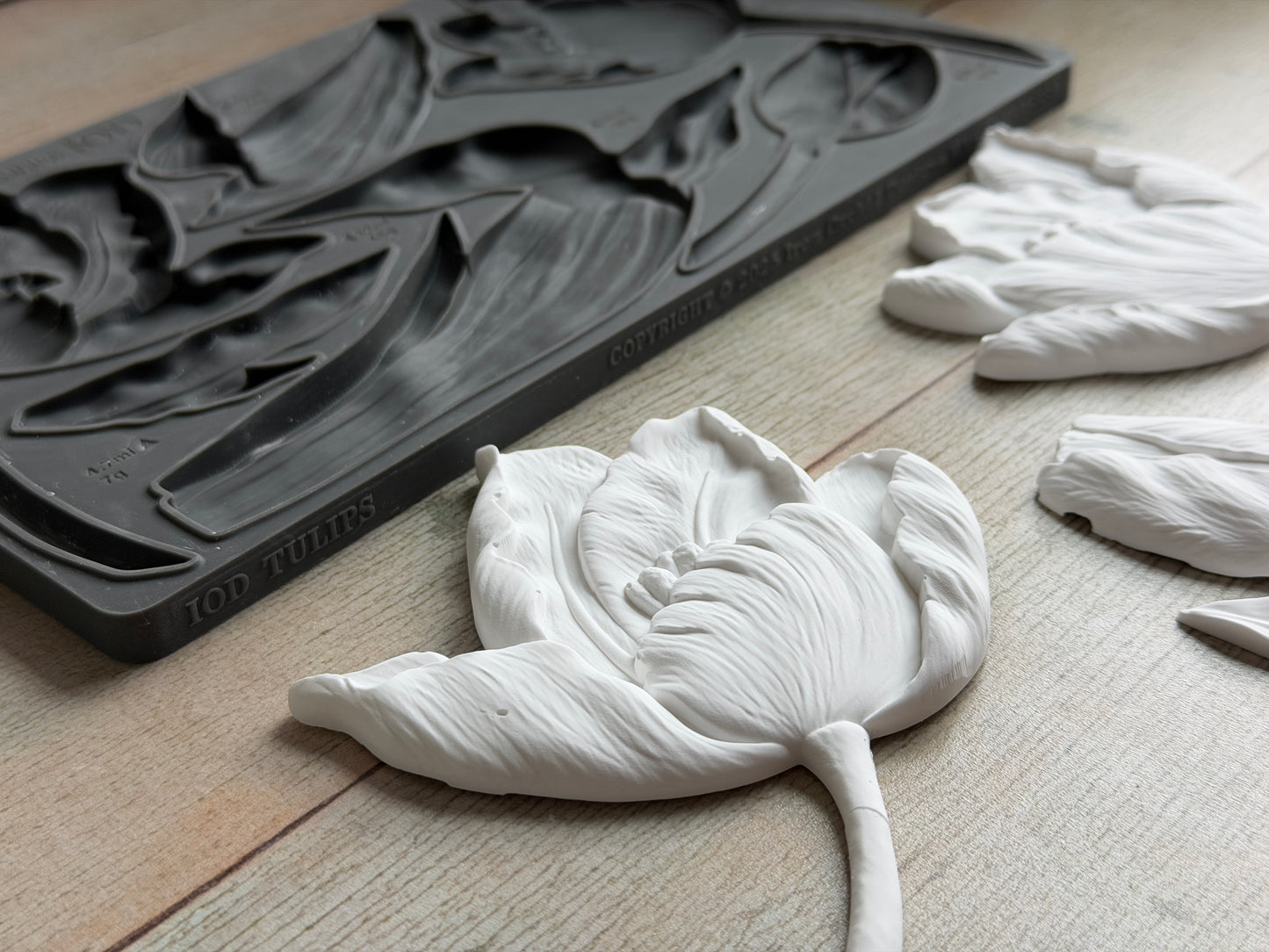 Tulips 6x10" Decor Mould by Iron Orchid Designs (IOD)