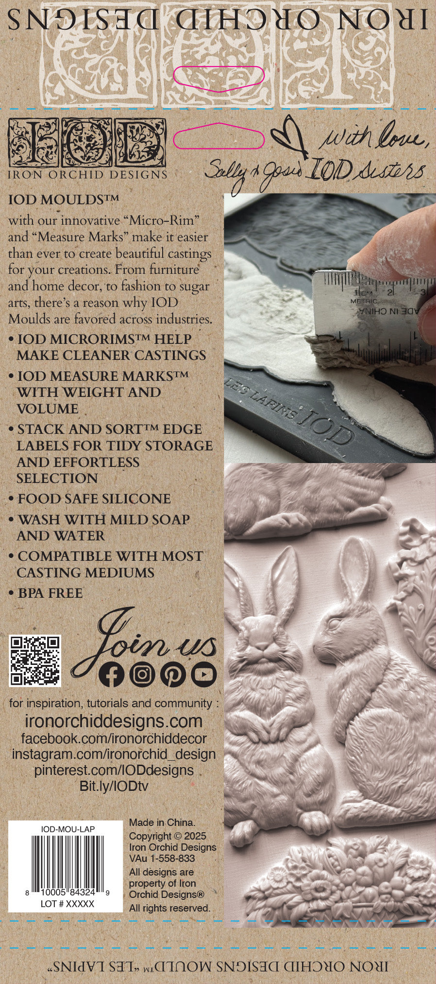 Les Lapins 6x10" Decor Mould by Iron Orchid Designs (IOD)