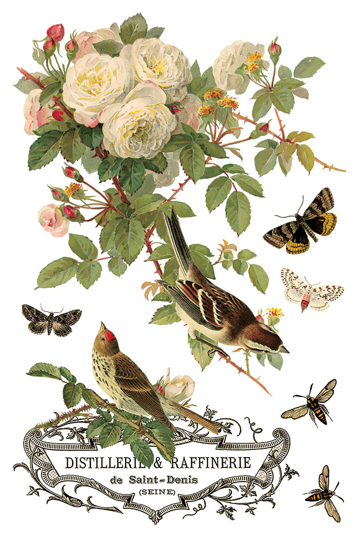 By Any Other Name 8x12” Transfer EIGHT Sheet Set by Iron Orchid Designs (IOD)