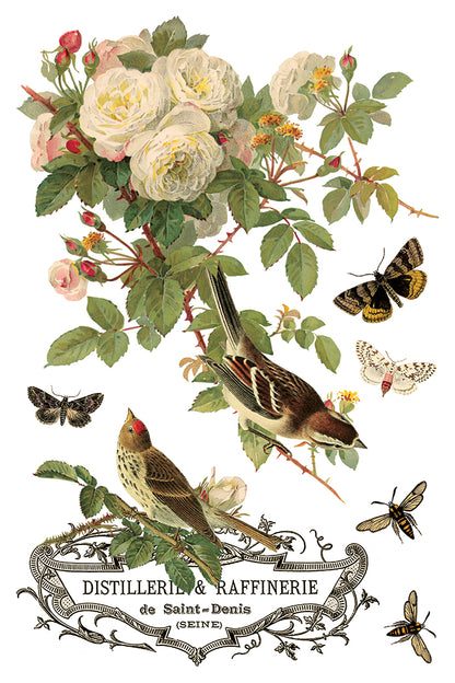 By Any Other Name 8x12” Transfer EIGHT Sheet Set by Iron Orchid Designs (IOD)