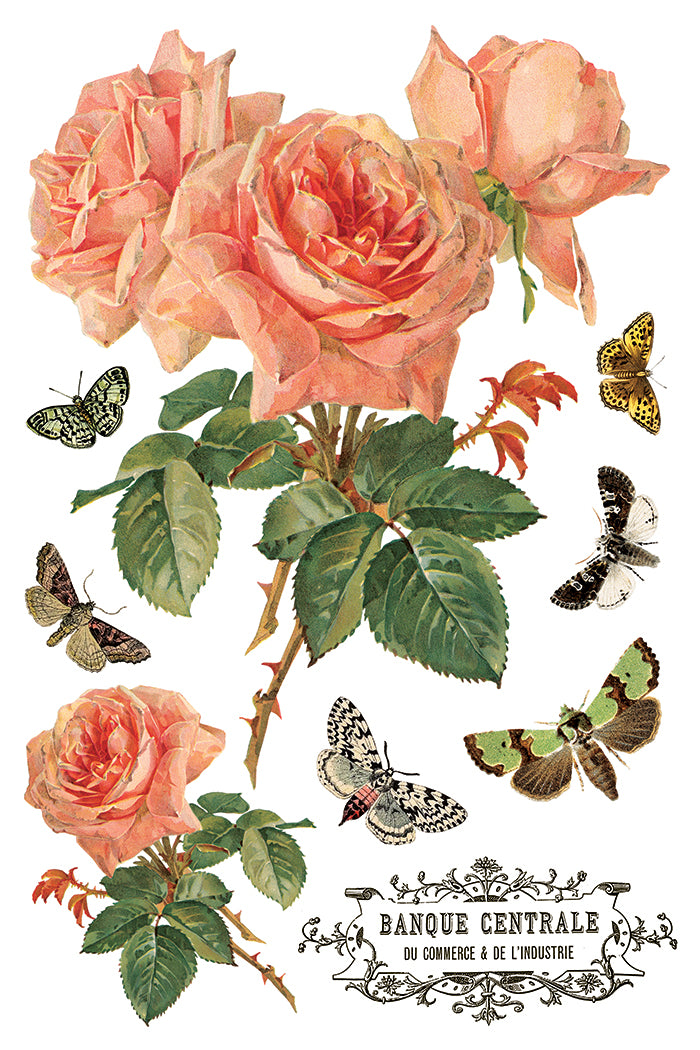 By Any Other Name 8x12” Transfer EIGHT Sheet Set by Iron Orchid Designs (IOD)