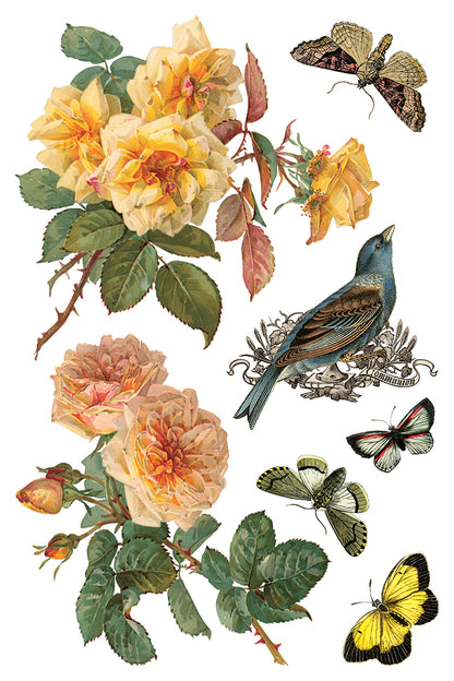 By Any Other Name 8x12” Transfer EIGHT Sheet Set by Iron Orchid Designs (IOD)