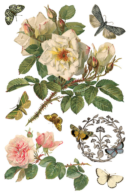 By Any Other Name 8x12” Transfer EIGHT Sheet Set by Iron Orchid Designs (IOD)