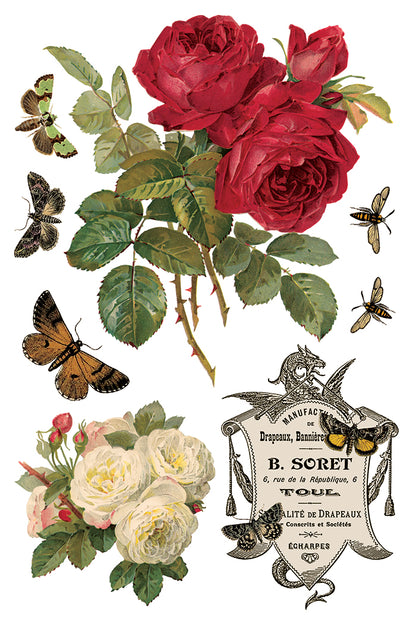 By Any Other Name 8x12” Transfer EIGHT Sheet Set by Iron Orchid Designs (IOD)