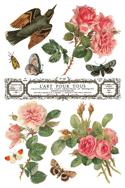 By Any Other Name 8x12” Transfer EIGHT Sheet Set by Iron Orchid Designs (IOD)