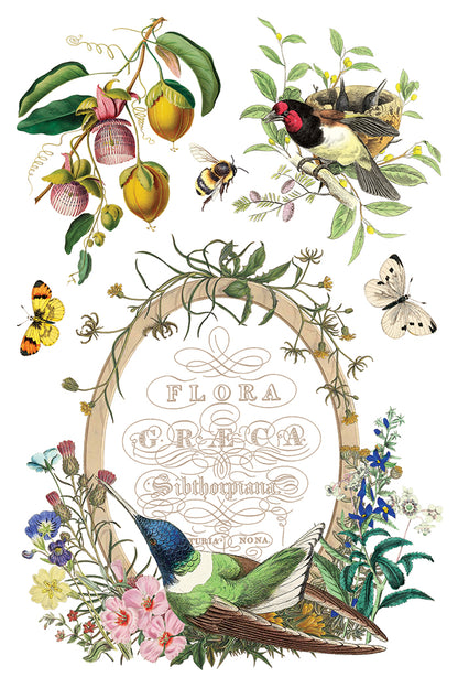 Flora Greca 8x12” Transfer EIGHT Sheet Set by Iron Orchid Designs (IOD)