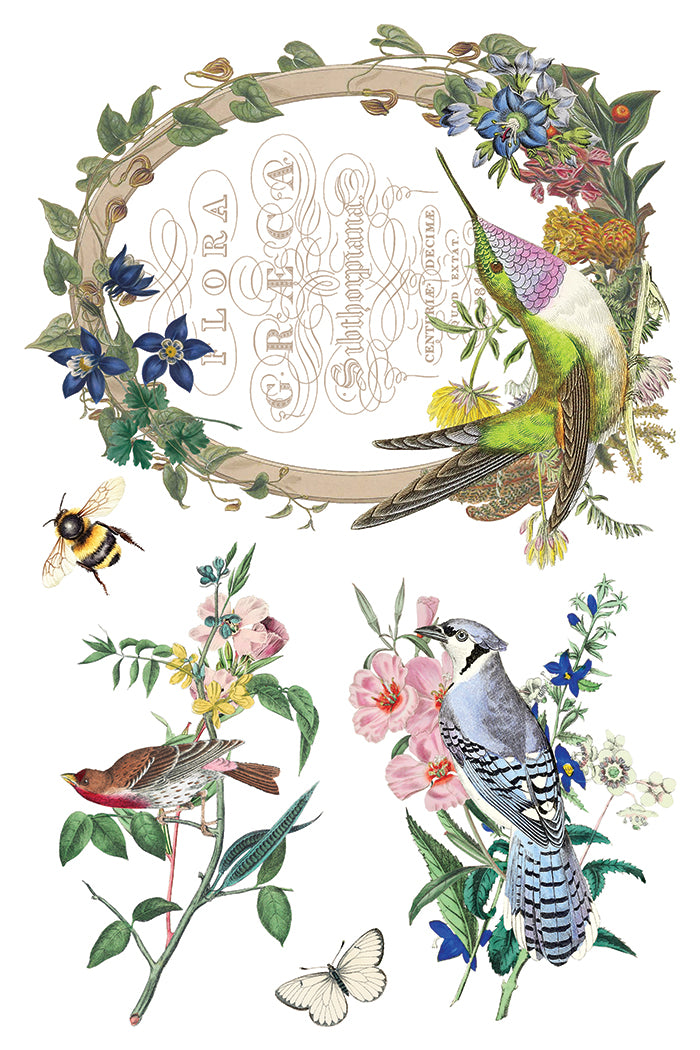 Flora Greca 8x12” Transfer EIGHT Sheet Set by Iron Orchid Designs (IOD)