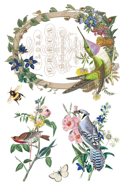 Flora Greca 8x12” Transfer EIGHT Sheet Set by Iron Orchid Designs (IOD)