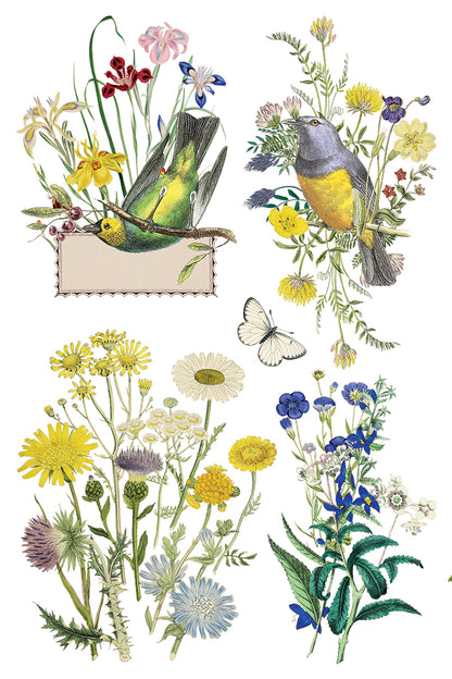 Flora Greca 8x12” Transfer EIGHT Sheet Set by Iron Orchid Designs (IOD)