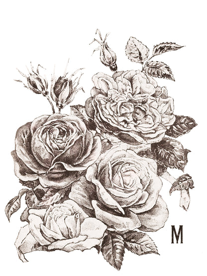 May's Roses 12x16" Transfer Pad FOUR Sheet Set by Iron Orchid Designs (IOD)