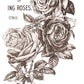 May's Roses IOD Transfer 12x16 Pad