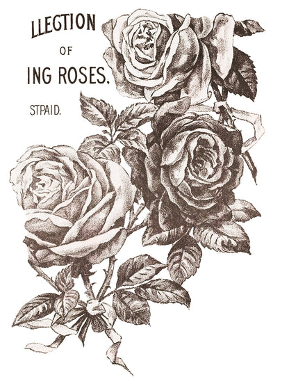 May's Roses 12x16" Transfer Pad FOUR Sheet Set by Iron Orchid Designs (IOD)