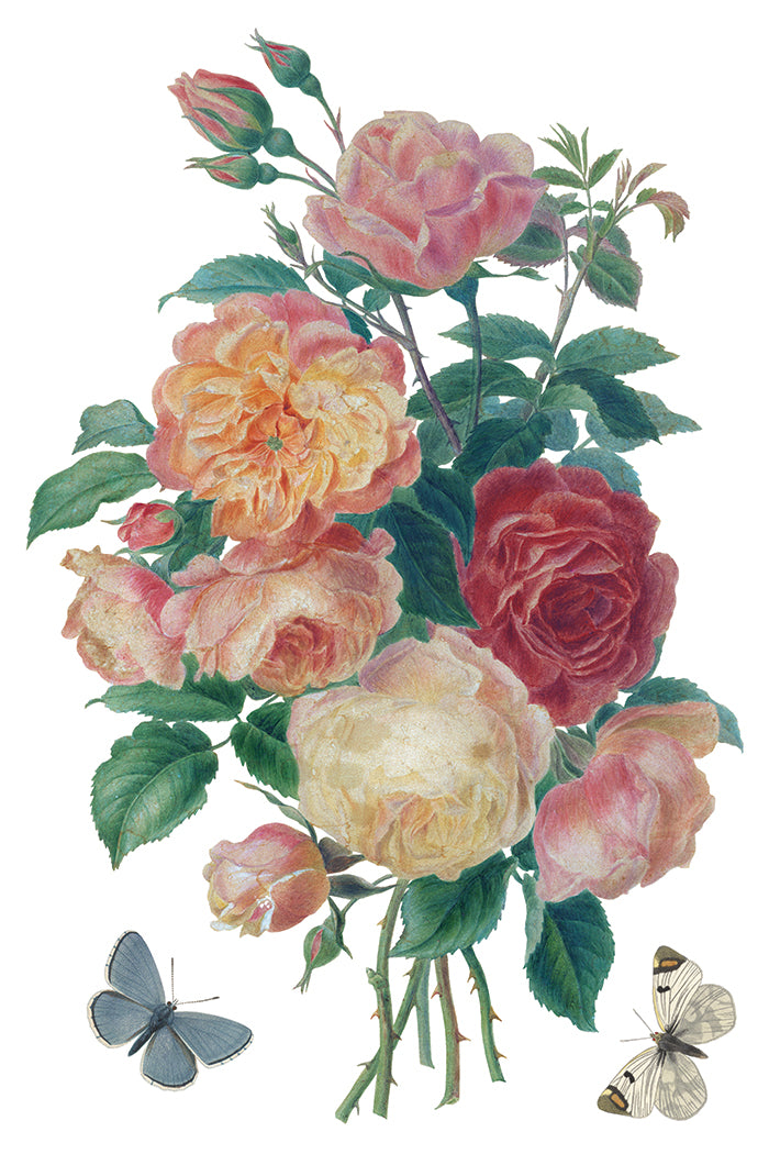 Saint Ouen 8x12” Transfer EIGHT Sheet Set by Iron Orchid Designs (IOD)